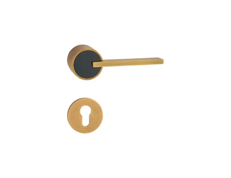 Antique Door Handle