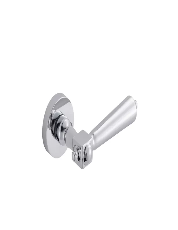 European door handle