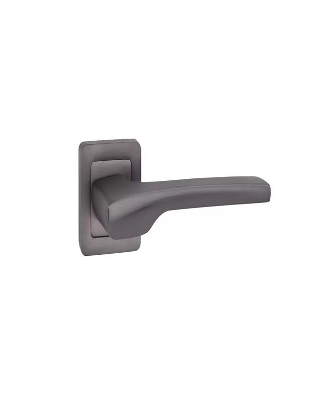 Antique Door Handle