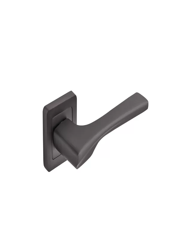 Antique Door Handle