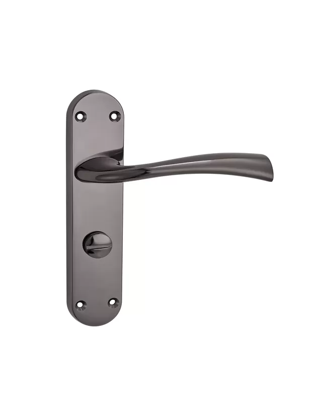 Antique Door Handle