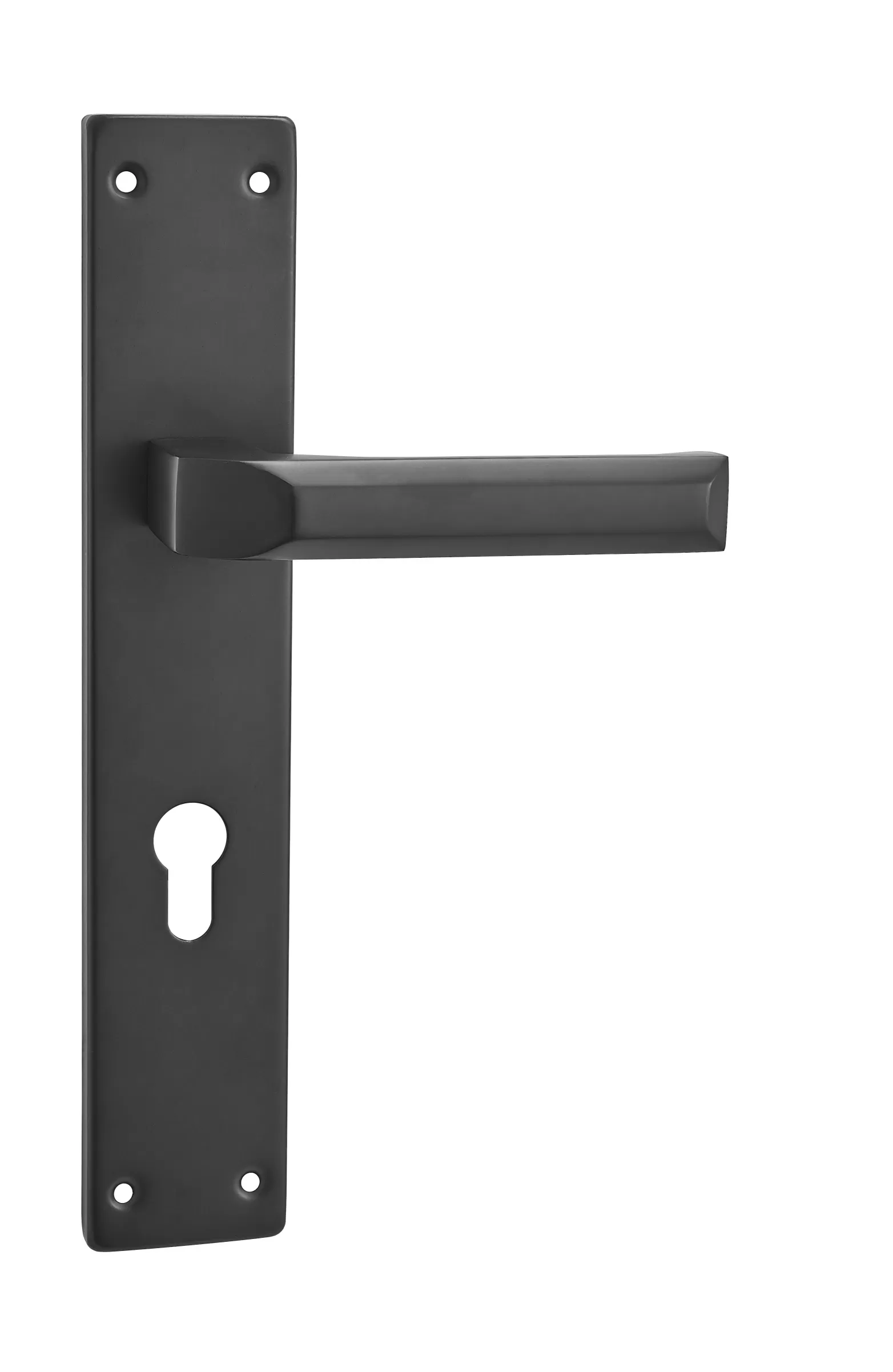 Antique Door Handle