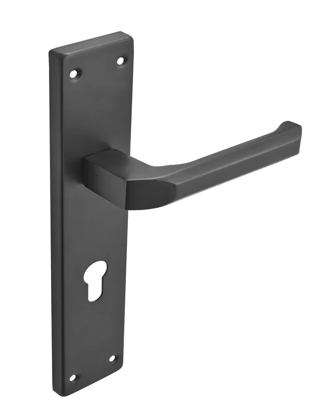 Antique Door Handle