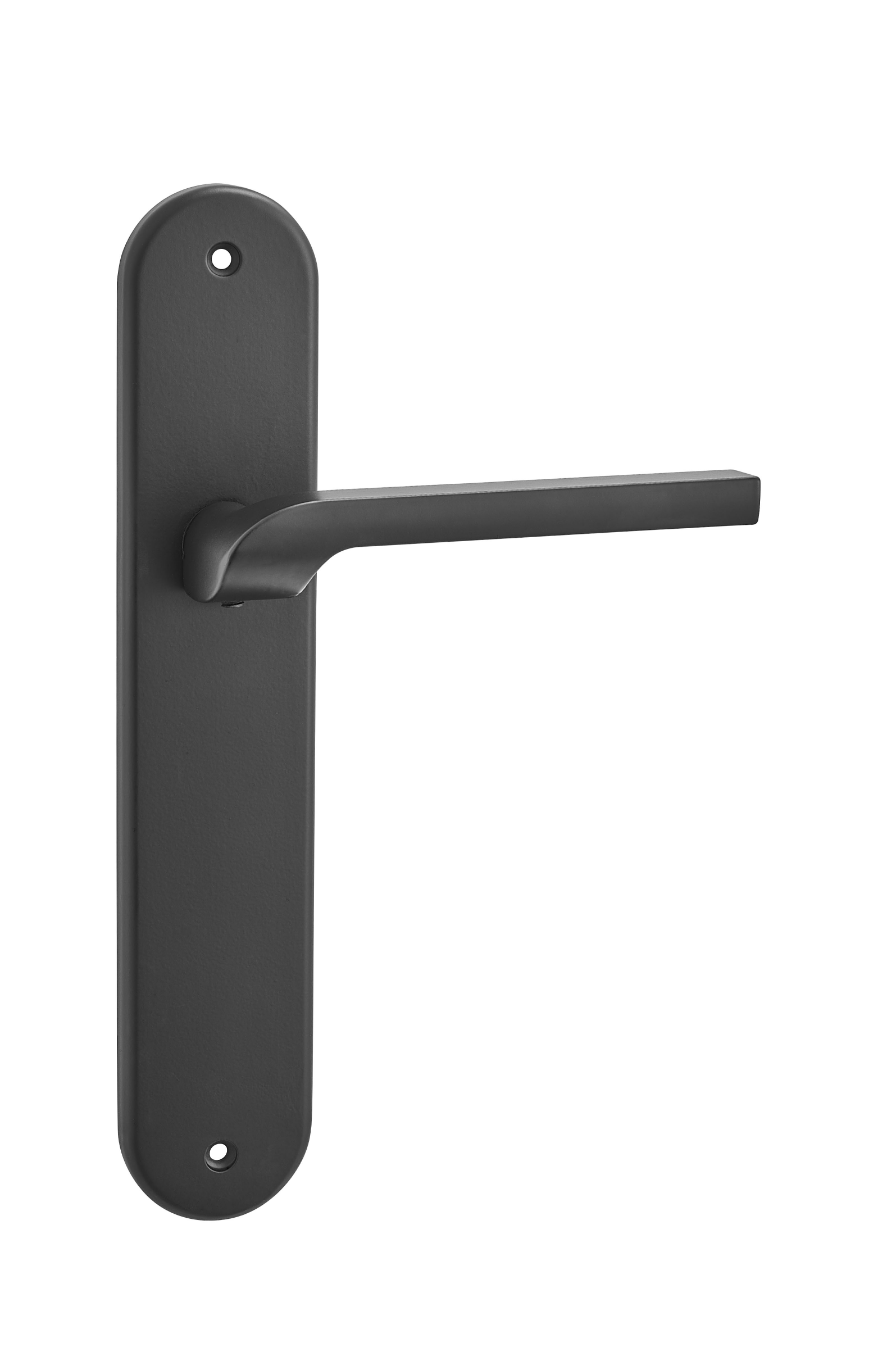 Decorative Door Handle