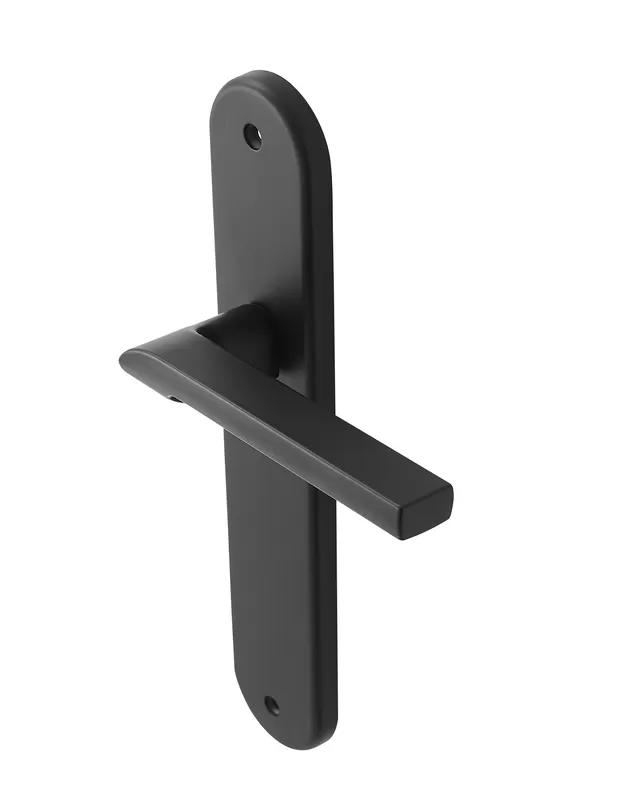 Decorative Door Handle
