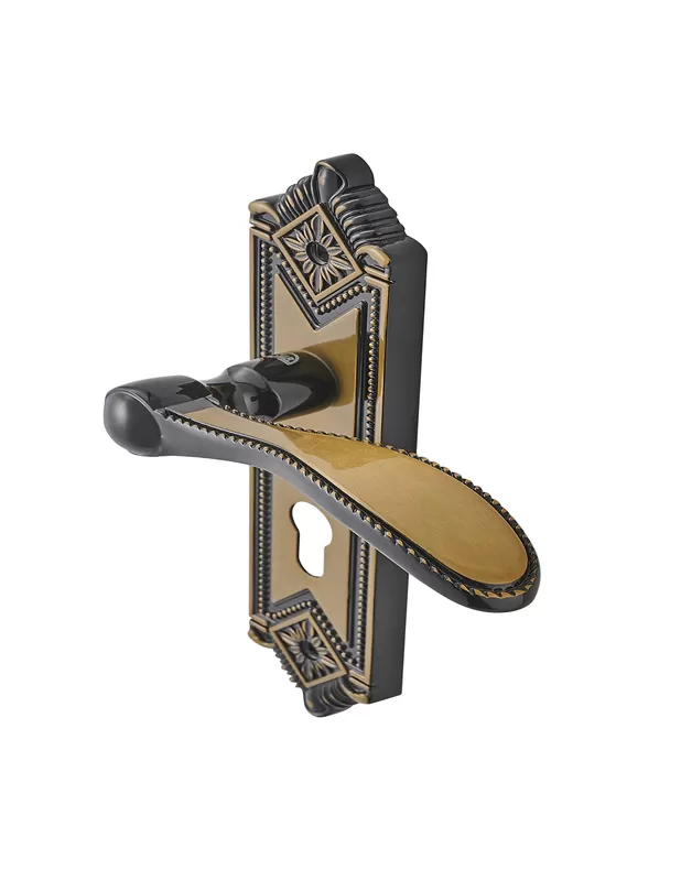 Modern Style House Door Handles