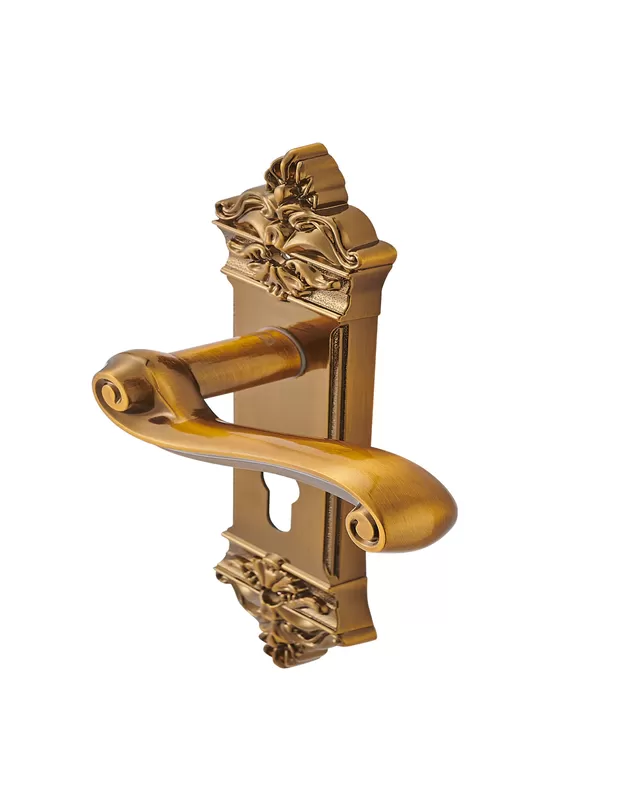 Antique Door Handle
