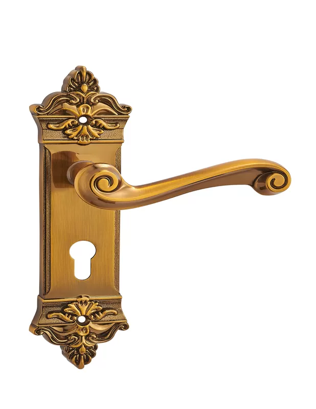 Antique Door Handle