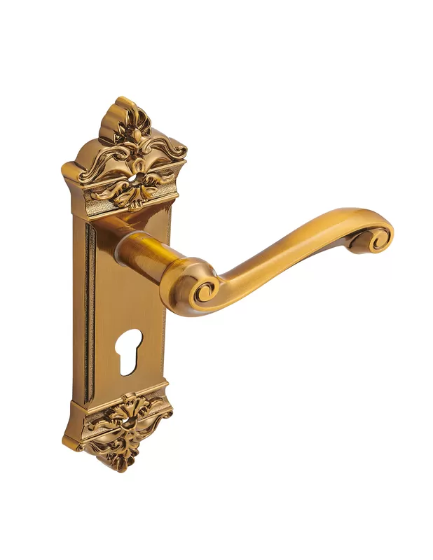 Antique Door Handle