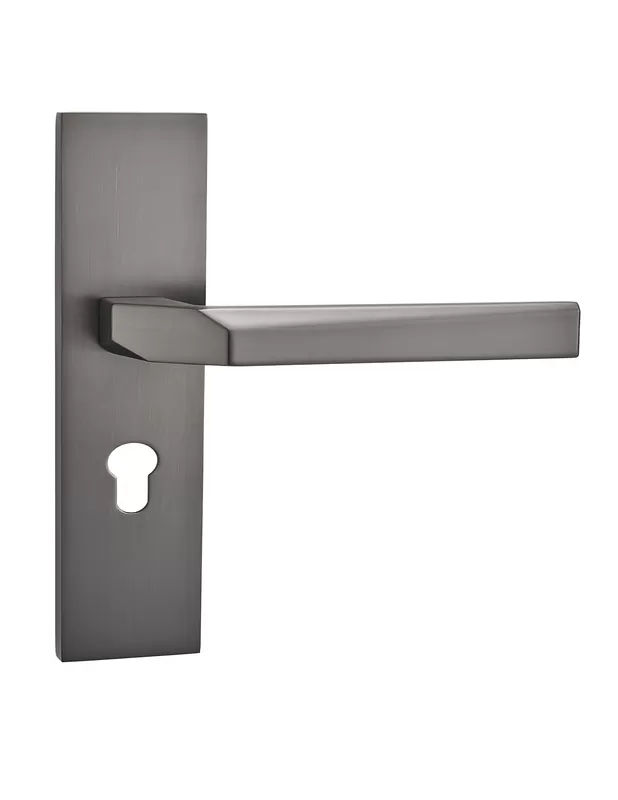 Luxury Door Handle