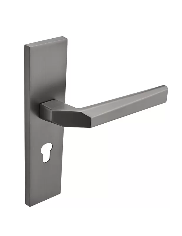 Luxury Door Handle