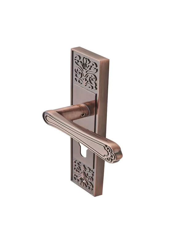 Antique Door Handle