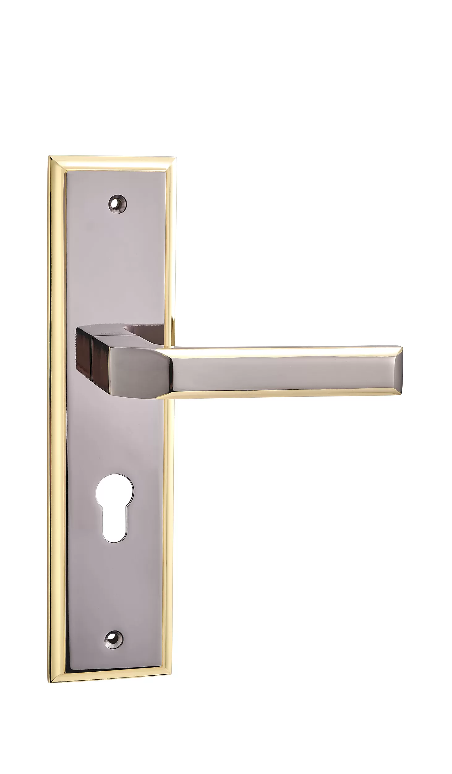 Decorative Door Handle