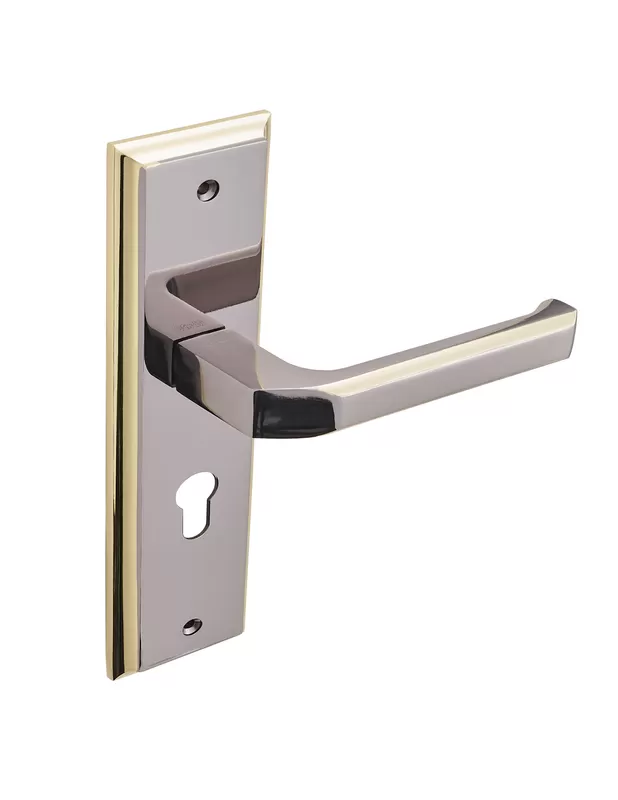 Decorative Door Handle