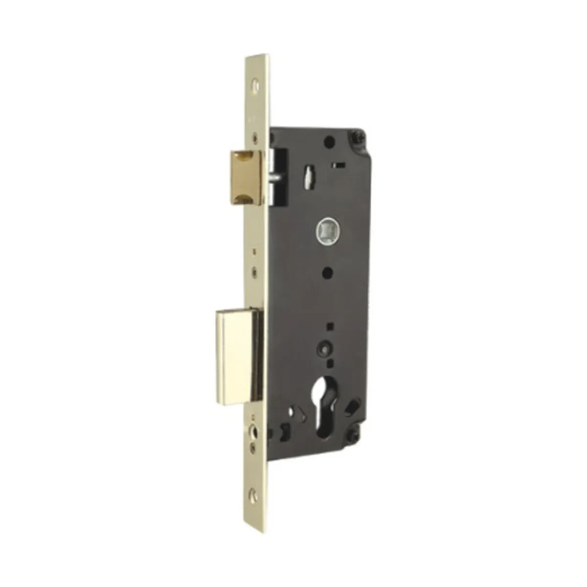Door Lock Body for Compatible Mortise Hardware
